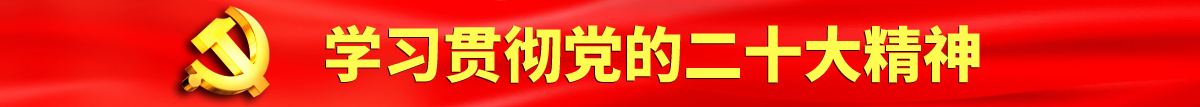 艹逼黄文认真学习贯彻落实党的二十大会议精神